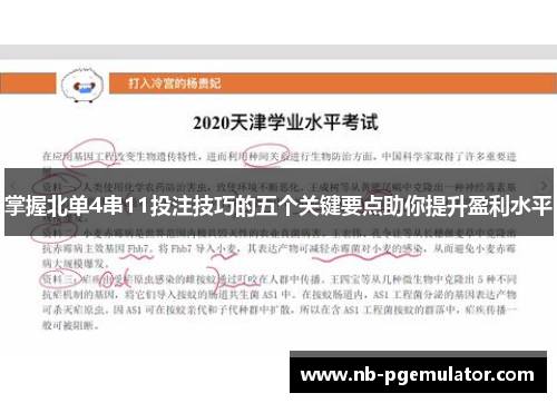 掌握北单4串11投注技巧的五个关键要点助你提升盈利水平
